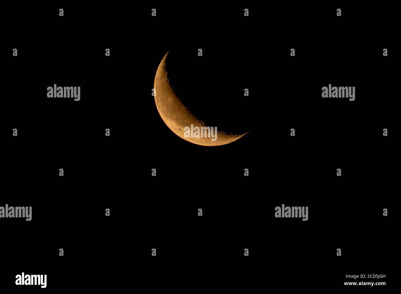 Croissant de lune décroissant au début de l'aube. Oregon, Ashland, Cascade Siskiyou Monument national, été Banque D'Images