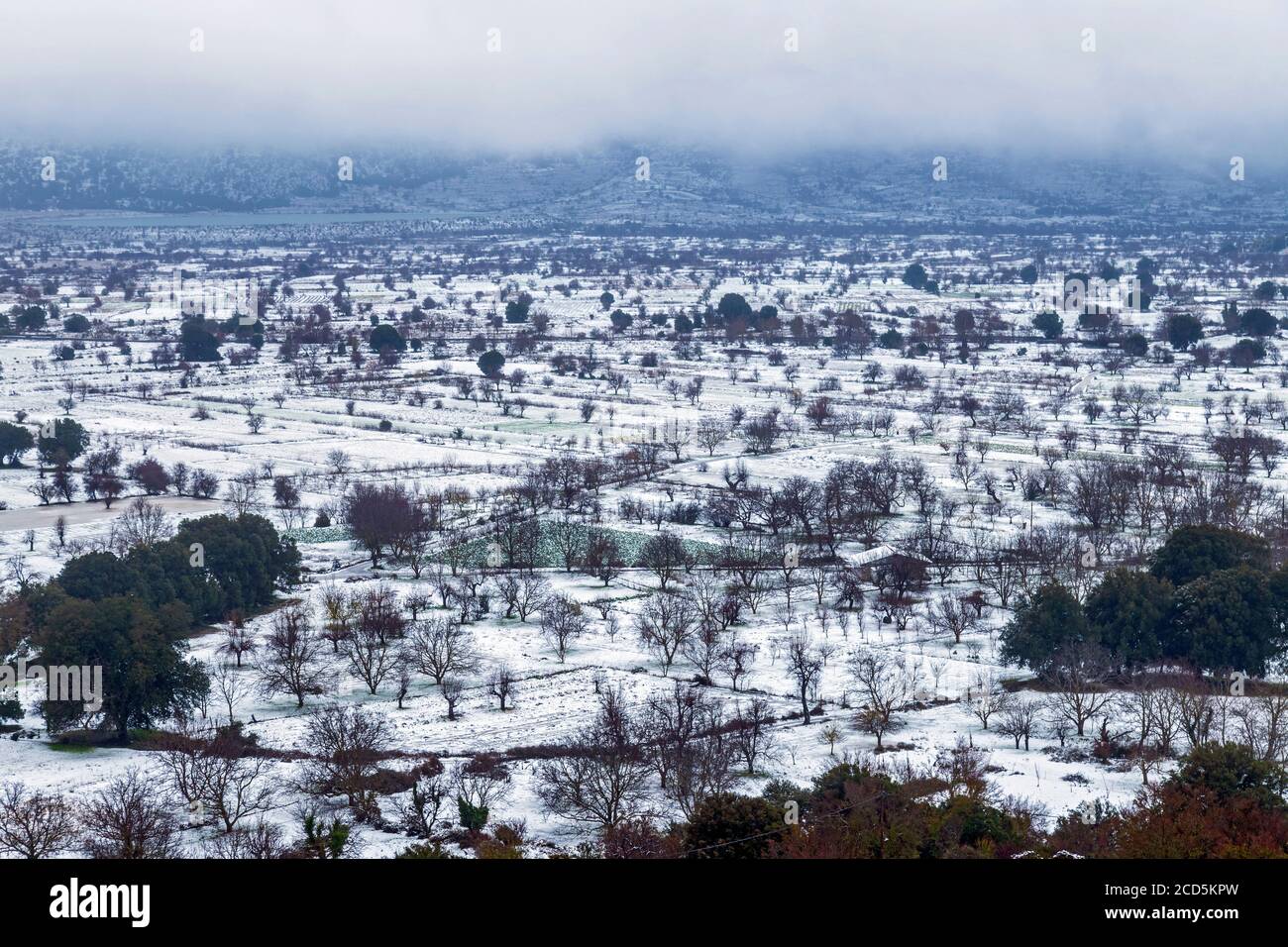Scène d'hiver sur le plateau de Lassithi, île de Crète, Grèce. Banque D'Images