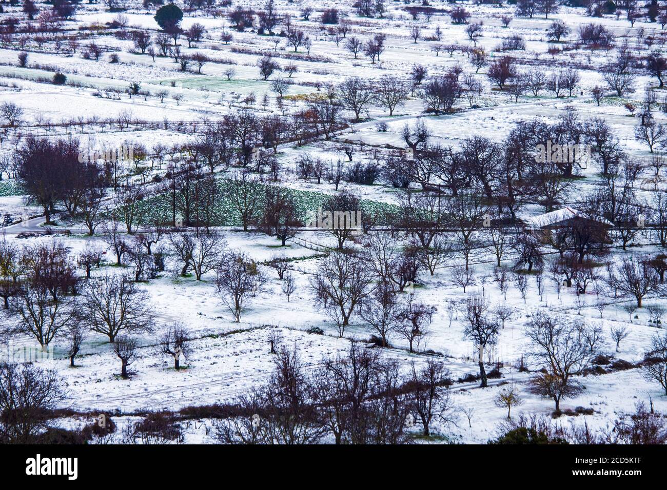 Scène d'hiver sur le plateau de Lassithi, île de Crète, Grèce. Banque D'Images