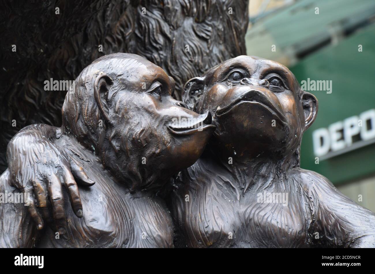 Statues trois singes sages et de grands gorilles à un Antique Rue commerçante de Cologne Banque D'Images