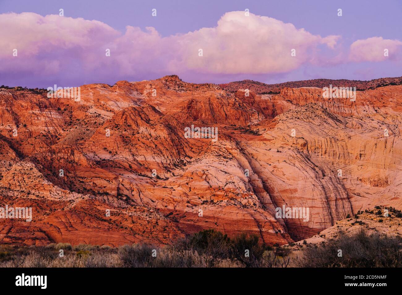 Vue sur les montagnes, Snow Canyon State Park, Ivins, Southwestern Washington County, Utah, États-Unis Banque D'Images