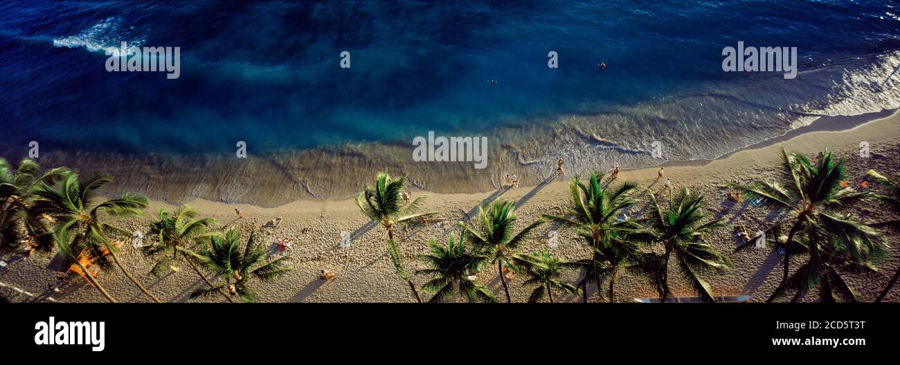 Vue en grand angle des palmiers sur la plage de sable de Waikiki et la mer bleue, Waikiki, Hawaii, Etats-Unis Banque D'Images