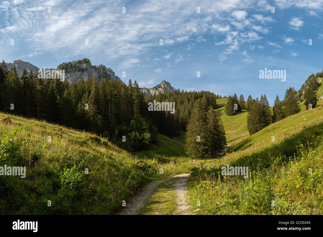 Paysage du Parc régional Gruyère pays-d'Enhaut, Suisse Banque D'Images