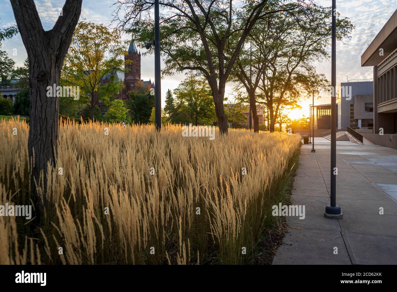 Le Crouse College est vu sur une colline au loin tandis qu'un soleil doré se couche sur la ville de Syracuse, New York. Banque D'Images