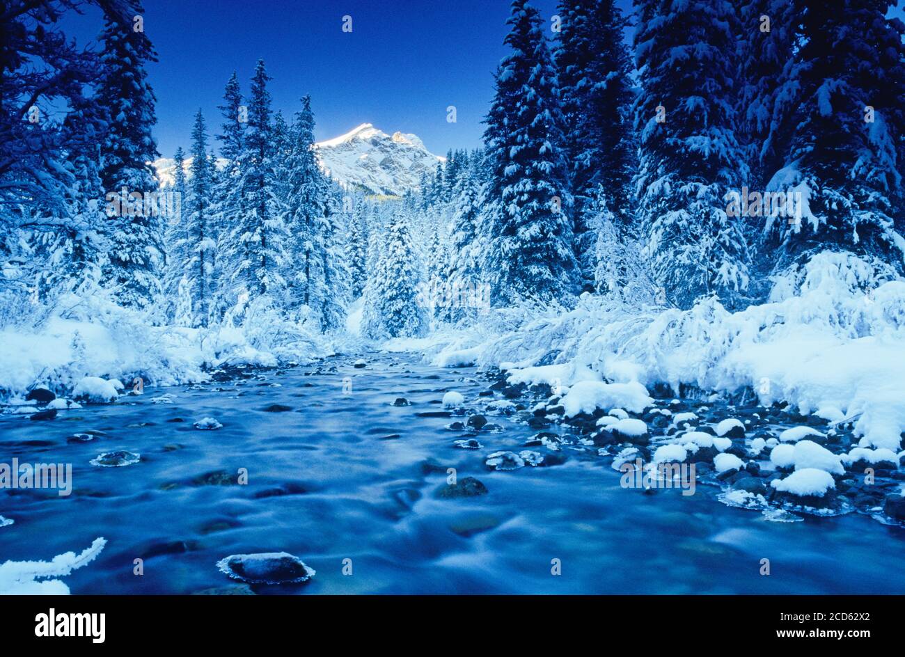 Montagne, ruisseau et forêt en hiver, parc national Banff, Alberta, Canada Banque D'Images