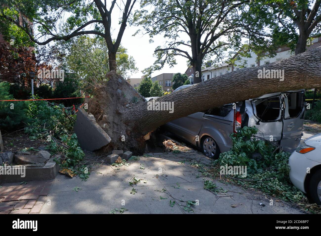 Un monospace endommagé par un arbre déraciné renversé par des vents forts de la tempête tropicale Isaias, New York City, le 5 août 2020. Banque D'Images