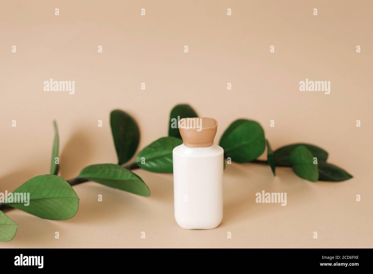 Une bouteille de crème pour le soin de la peau du visage ou du corps avec des feuilles de zamiokulkas sur fond beige. Produits cosmétiques biologiques Banque D'Images