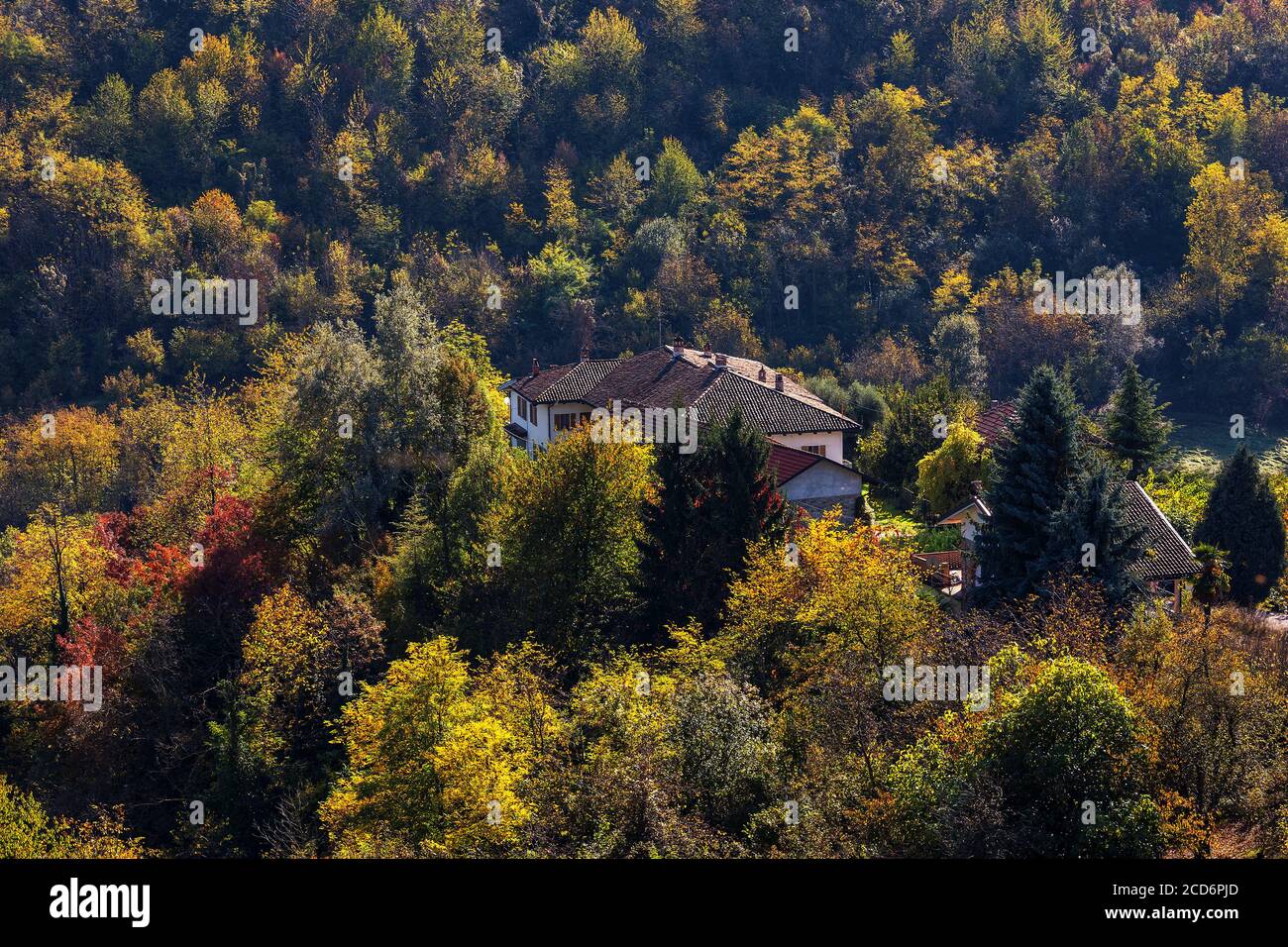 Vue d'en haut sur la maison rurale parmi les arbres automnaux colorés dans le Piémont, dans le nord de l'Italie. Banque D'Images