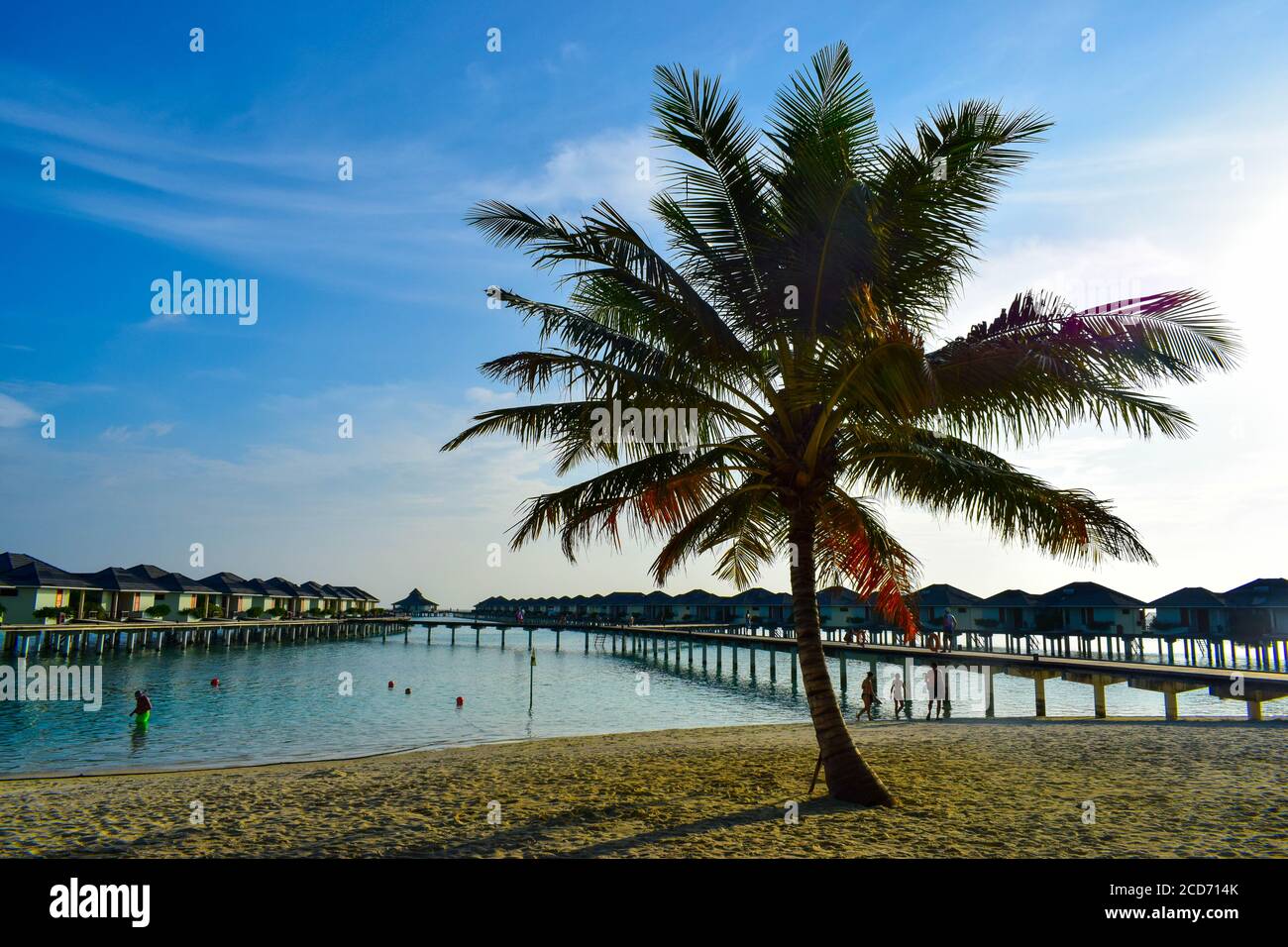 Une vue aérienne d'une plage tropicale avec des palmiers photo - Image