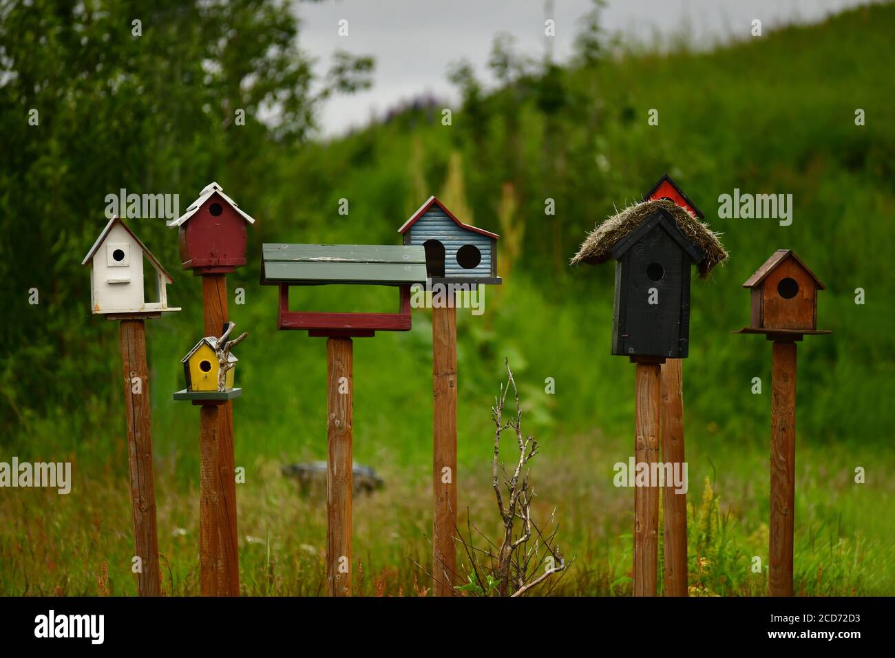 Maisons d'oiseaux en bois colorées ou nichoirs. Islande Banque D'Images