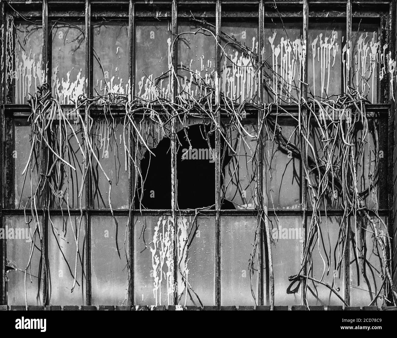 Raleigh North Carolina USA juillet 19 2014 Norfolk Southern train Cour Banque D'Images