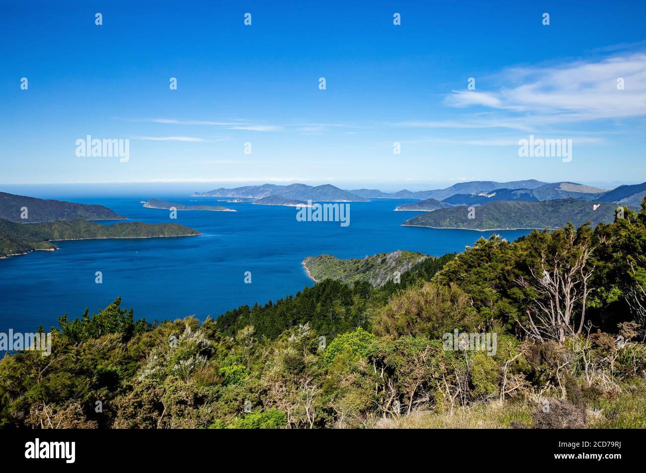 Endeavour Inlet, Malborough Sounds, Île du Sud, Nouvelle-Zélande, Océanie. Banque D'Images