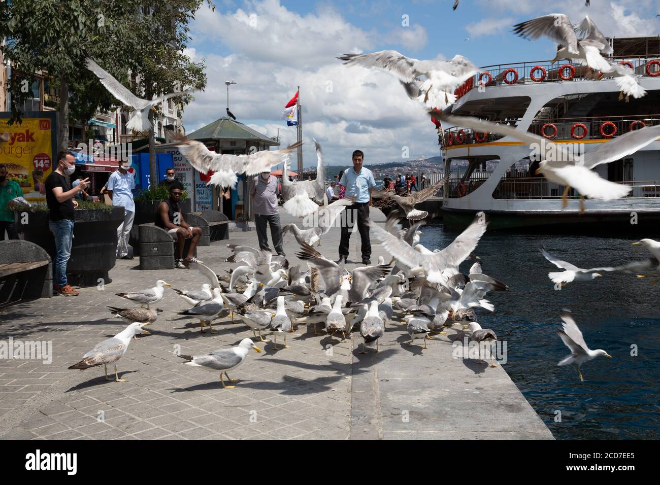 ISTANBUL / TURQUIE - 07.17.2020: Le peuple turc nourrit une enquête de mouettes à Karakoy Banque D'Images