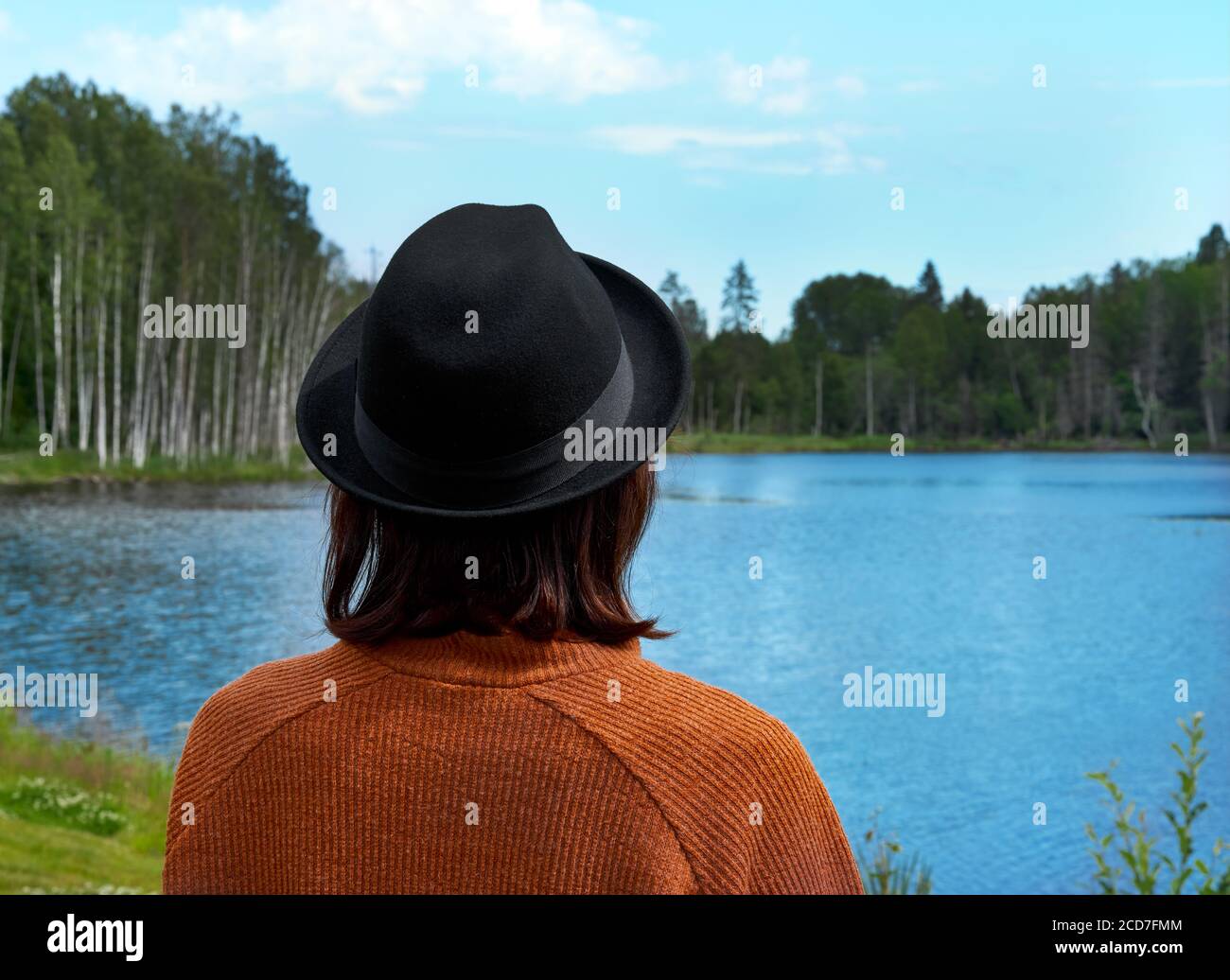 Vue arrière de la dame de brunette qui donne sur le lac de Karelia Banque D'Images