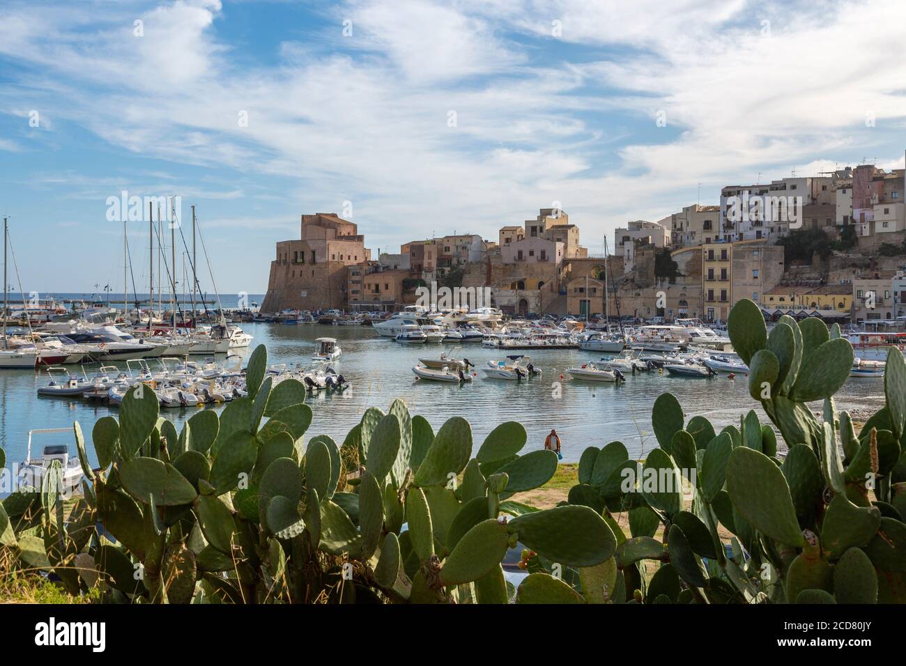Vue sur le port de plaisance de la ville balnéaire avec cactus dans la perte, Castellammare del Golfo, province de Trapani, Sicile Banque D'Images