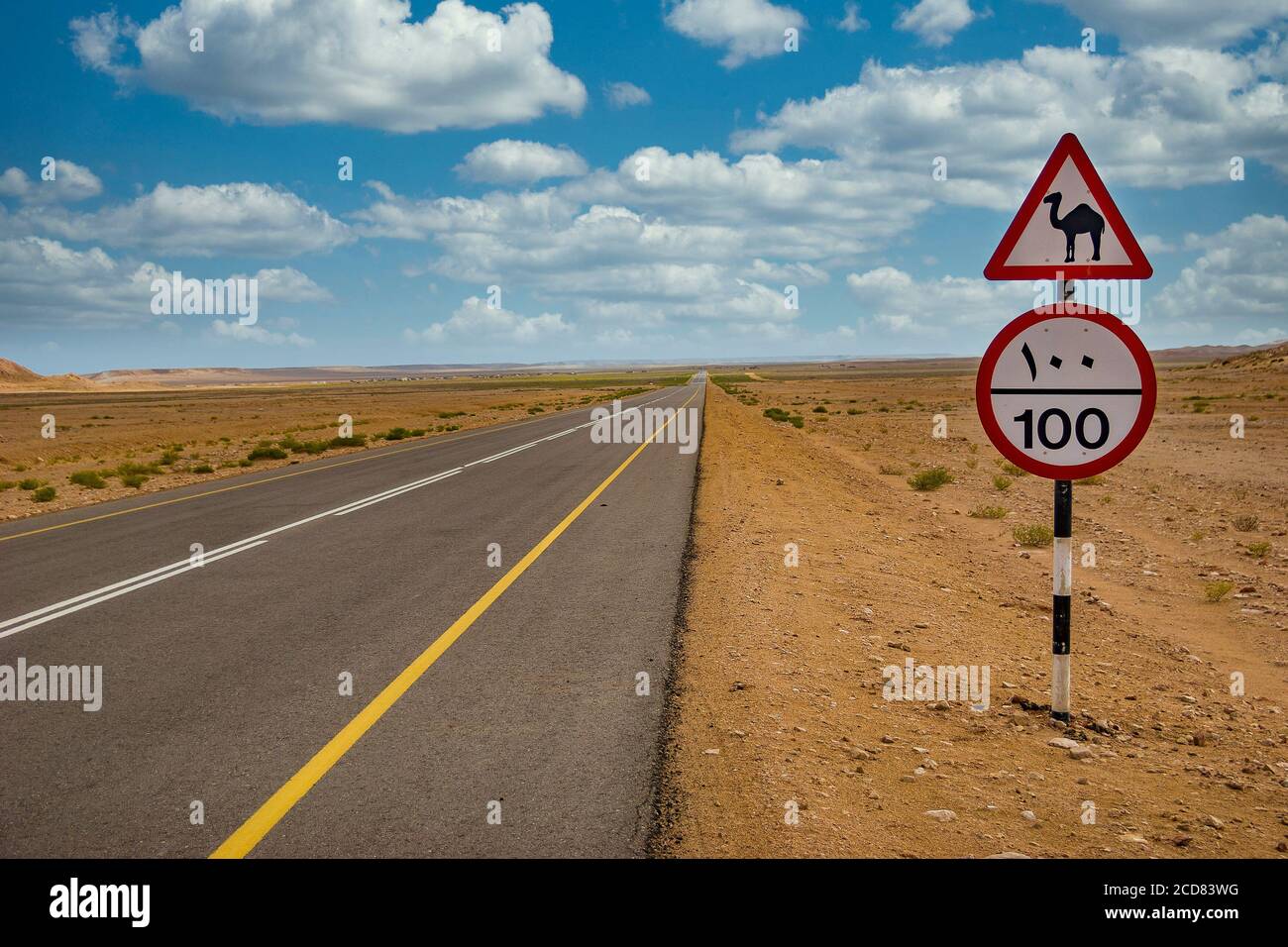 Panneau de route de chameau et panneau de route de limite de vitesse le long d'un Route du désert en Oman Banque D'Images