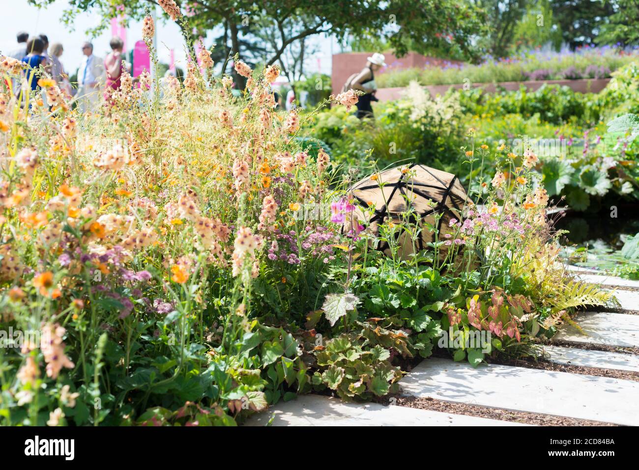 SCULPTURE PARMI L'ORANGE VERBASCUM DANS LE JARDIN D'EXPOSITION «L'HÉRITAGE MACMILLAN GARDEN’ CONÇU PAR ANN-MARIE POWELL AU RHS HAMPTON COURT FLEUR DE PALAIS SH Banque D'Images