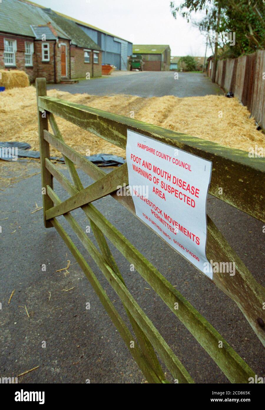Restrictions de la fièvre aphteuse dans une ferme du Hampshire au Royaume-Uni 2001 Banque D'Images