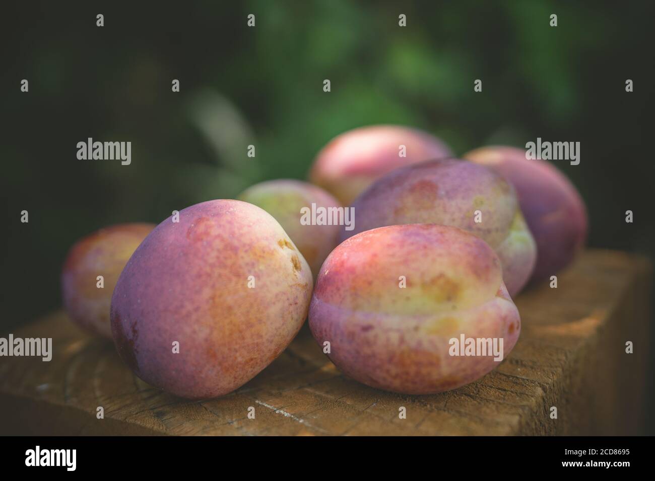 Un tas de prunes sur un bloc de bois dehors dans un jardin Banque D'Images