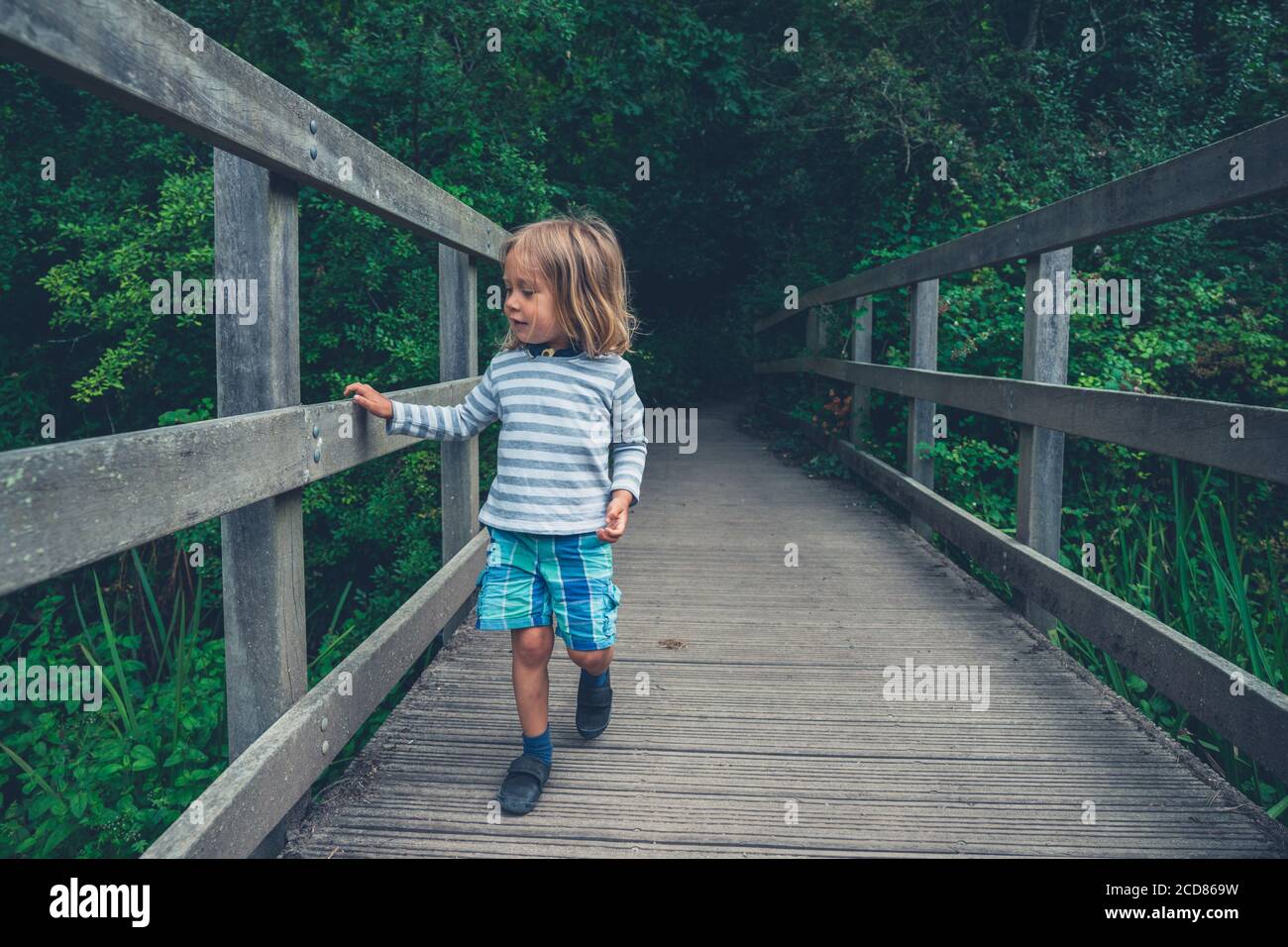 Un petit Preschooler est debout sur un pont dans le bois Banque D'Images