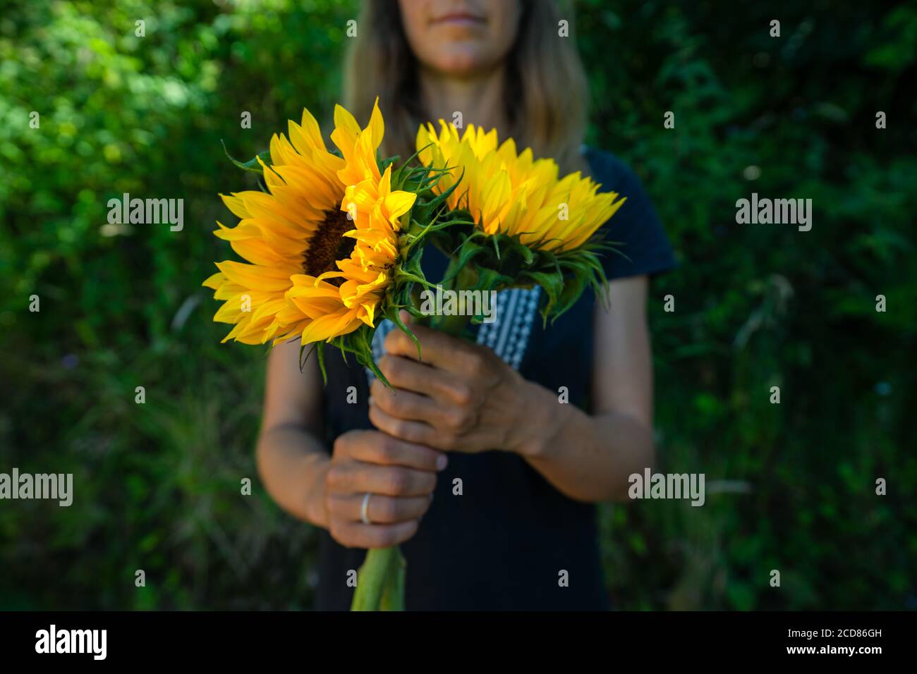 Une jeune femme est debout à l'extérieur dans son jardin avec un tournesol Banque D'Images