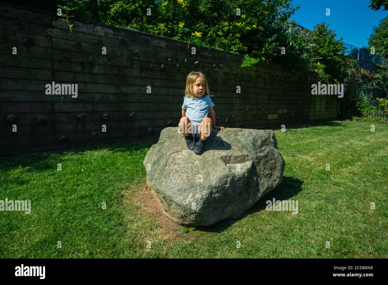 Un petit avant-chooler est assis sur un rocher dans le stationnement Banque D'Images