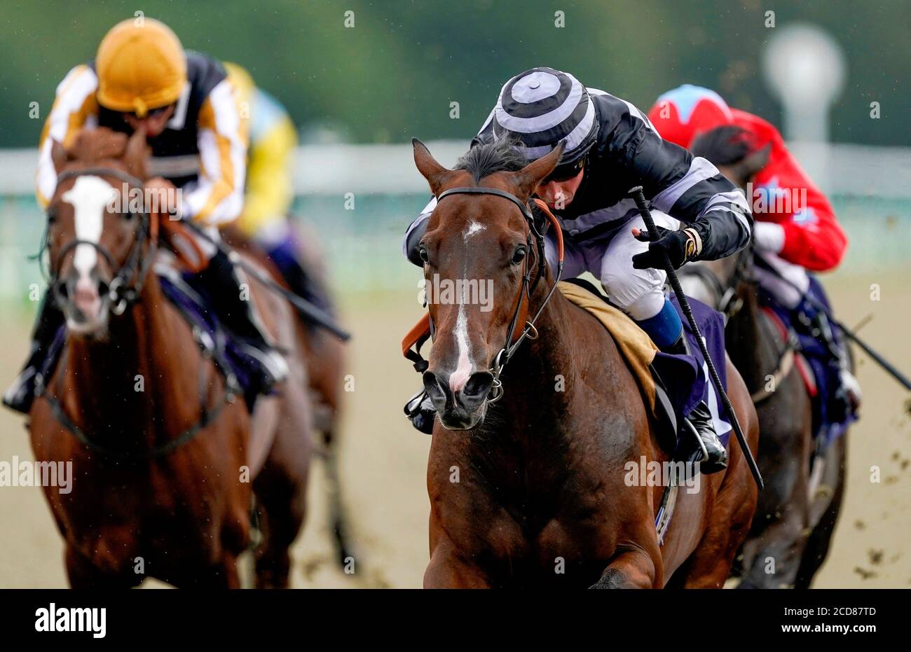 Tanfantic est monté par le jockey William Buick (à droite) sur le chemin de gagner les parts de Betway Novice Median Auction au Lingfield Park Racecourse. Banque D'Images