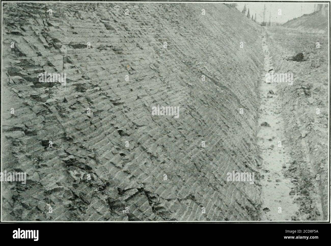 . Rapport annuel . nides et argent 100 PLEISTOCENEGlacial et récent juste avant la période glaciaire, sans doute la surface de ce qui est nowla zone productive cobalt-argent était dans une condition fortement altérée ou décomposée.les glaciers ont gratté ce matériau lâche de la surface et l'ont transporté vers le sud, mêlé à d'autres matériaux. En toute probabilité, beaucoup plus de minerai a été charoloin par la calotte glaciaire que ce qui a été extrait. On a trouvé des nuggets ou des blocs de riches orés d'argent dans des tranchées de prospection à de nombreux points au sud des mines. UN bloc glaciaire d'une valeur d'environ cinq Banque D'Images