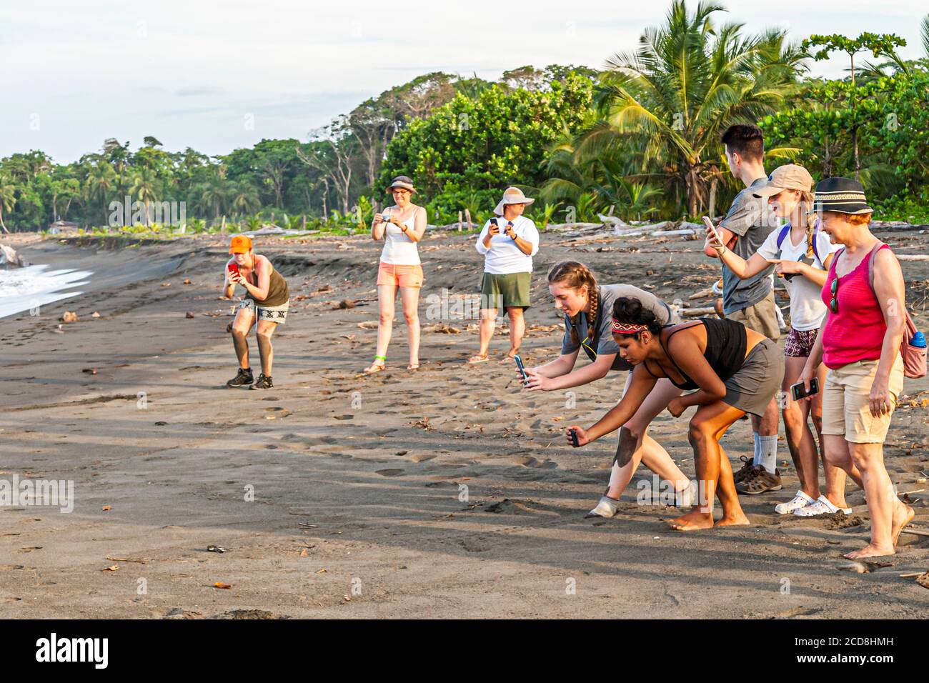 Écloserie pour l'océan. Projet scientifique sur les citoyens de la biosphère pour la protection des tortues de mer au Costa Rica Banque D'Images