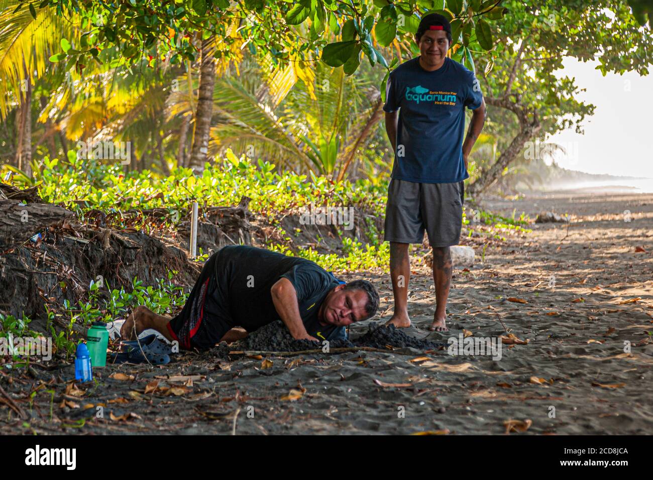 Biosphere Citizen Scientist Camp de projet pour sauver les tortues de mer à Reventazón, Costa Rica Banque D'Images