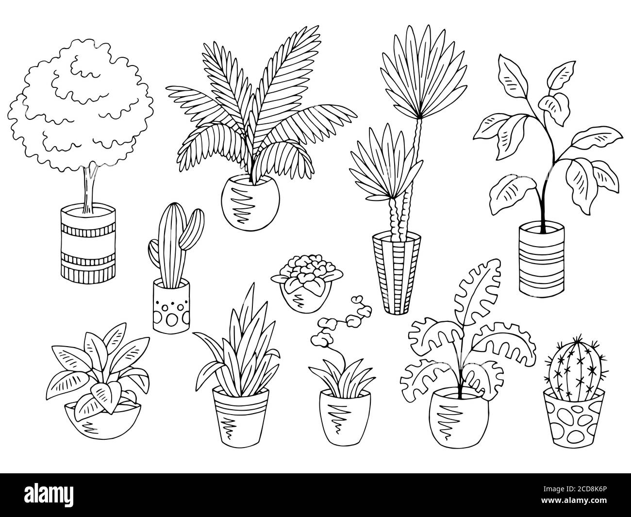 Home plantes fleur graphique noir blanc isolé ensemble d'illustrations vecteur Illustration de Vecteur