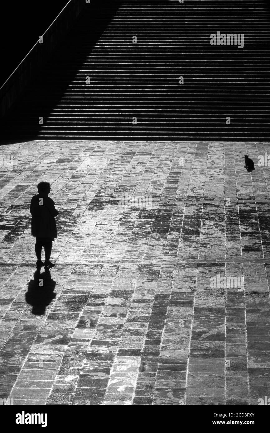 Silhouettes d'une femme solitaire et d'un chat dans un place pavée de la ville Banque D'Images