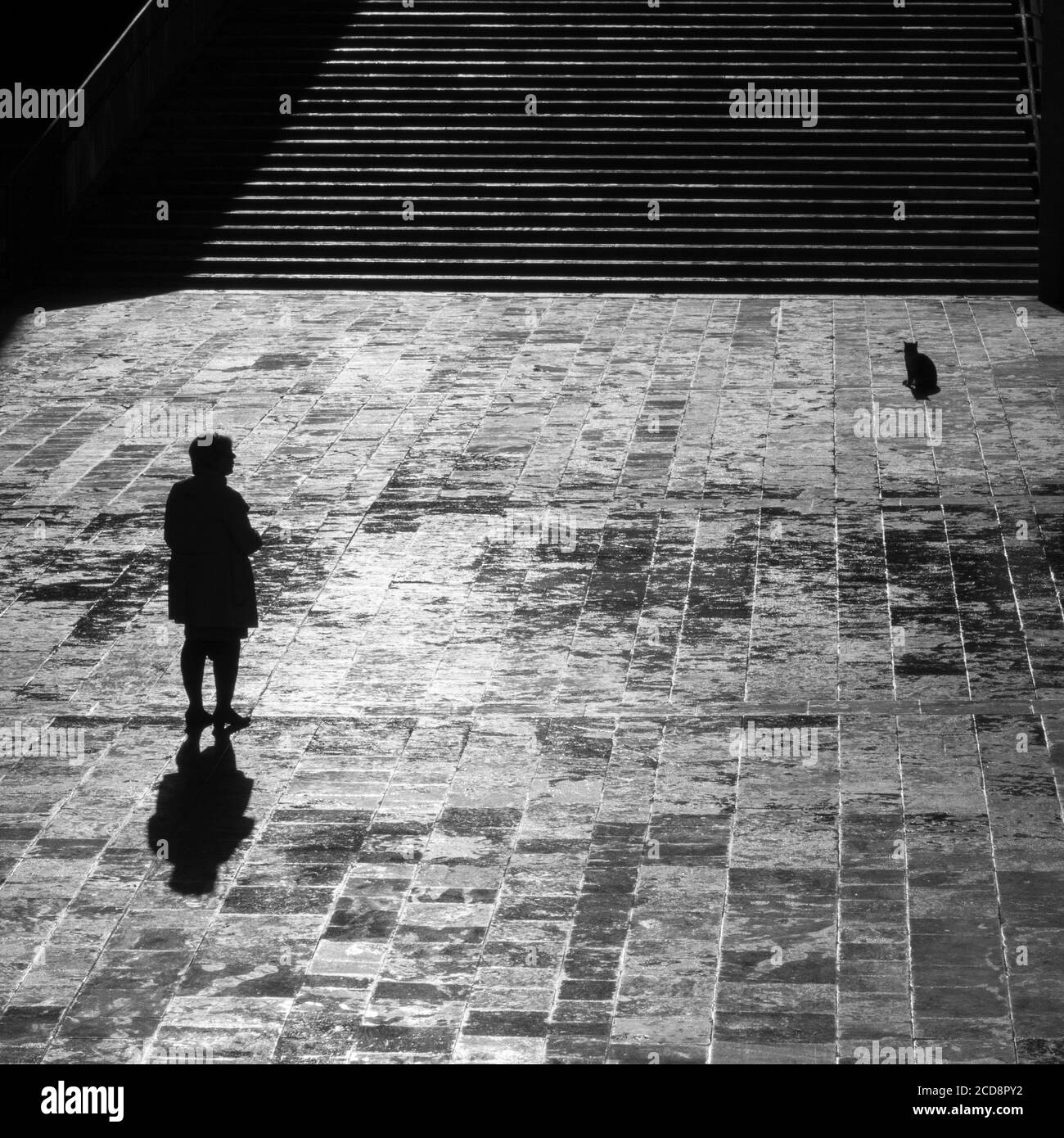 Silhouettes d'une femme solitaire et d'un chat dans un place pavée de la ville Banque D'Images