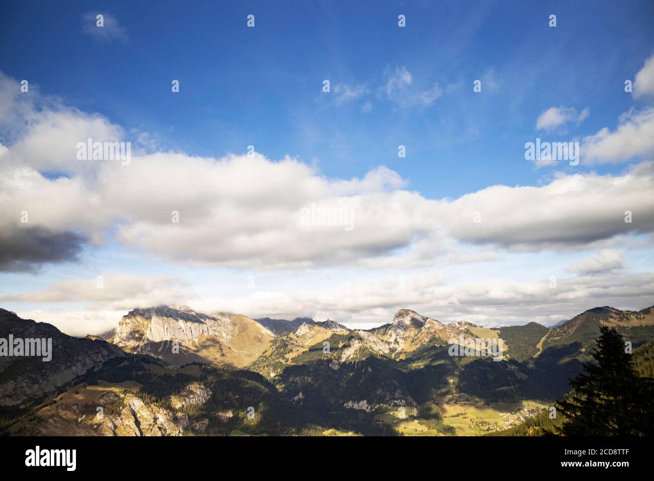 France, haute Savoie, vallée de l'abondance, la Chapelle d'abondance, réserve de chasse du Mont de Grange Banque D'Images