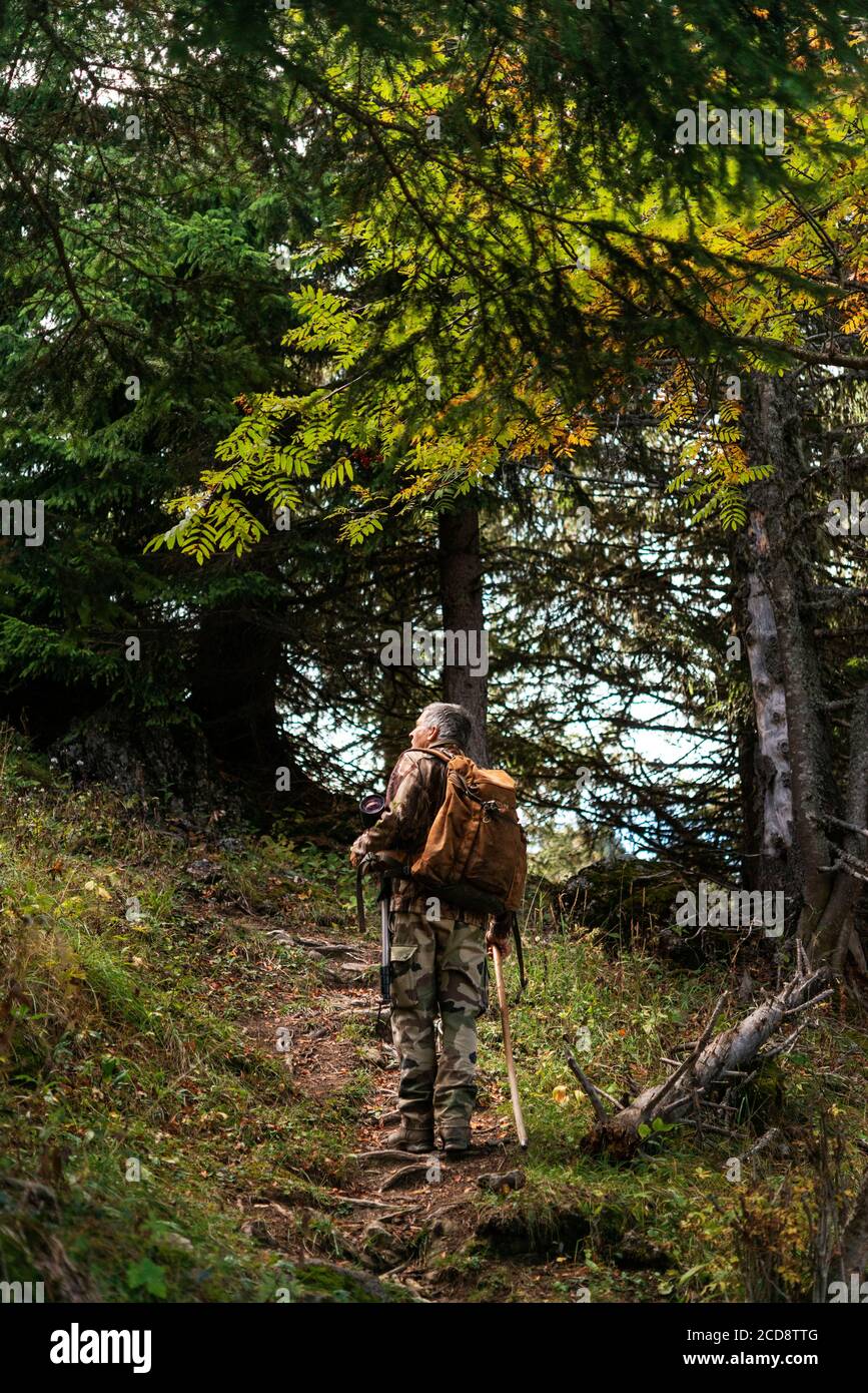 France, haute Savoie, vallée de l'abondance, la Chapelle d'abondance, réserve de chasse du Mont de Grange Banque D'Images