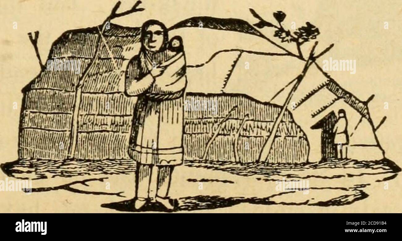 . Scènes sauvages de la vie d'un chasseur; . pourrait être déduit que le boeuf musqué ne pouvait pas fonctionner avec n'importe quelle vitesse; mais il est déclaré par Parry, Que, bien qu'ils courent dans un canter de sortde hobing qui les fait apparaître comme si tous de temps et puis aboutto chute, mais le plus lent de ces boeufs musqués peut loin dépasser un homme.quand dérangé et chassé, ils ont souvent déchiré le sol avec leurs cornes, et se tourna pour regarder leurs poursuivants, boutne tenta jamais de faire une attaque. • il est singulier et bien digne d'observation, que le fumier du boeuf musqué, bien qu'un animal si grand, n'est pas plus grand que, et, au sam Banque D'Images