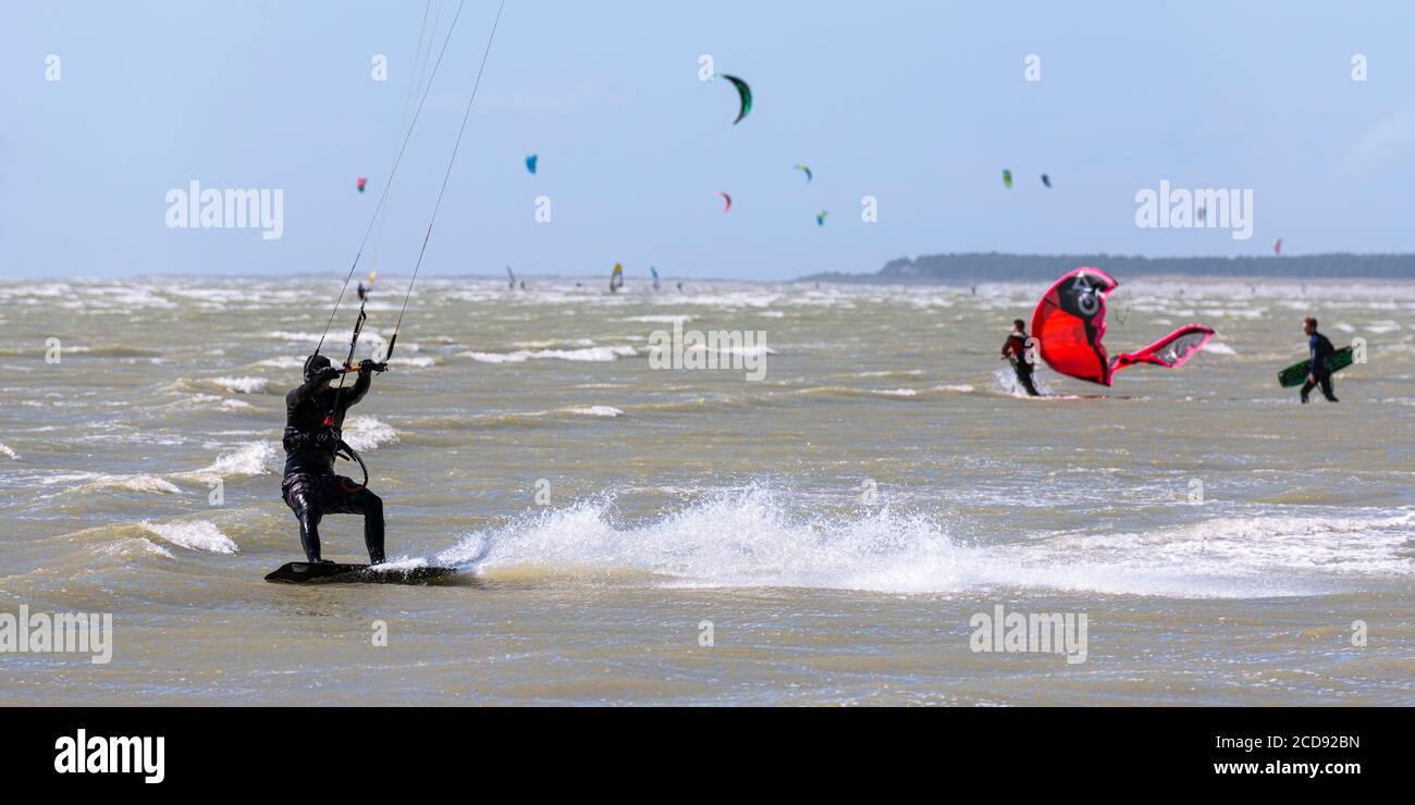 France, somme, Baie de la somme, le Crotoy, Crotoy Beach est un endroit pour le kitesurf et la planche à voile; au lendemain d'une tempête, alors que le soleil est revenu avec un vent puissant, les athlètes sont nombreux et leurs voiles multicolores illuminent le paysage Banque D'Images