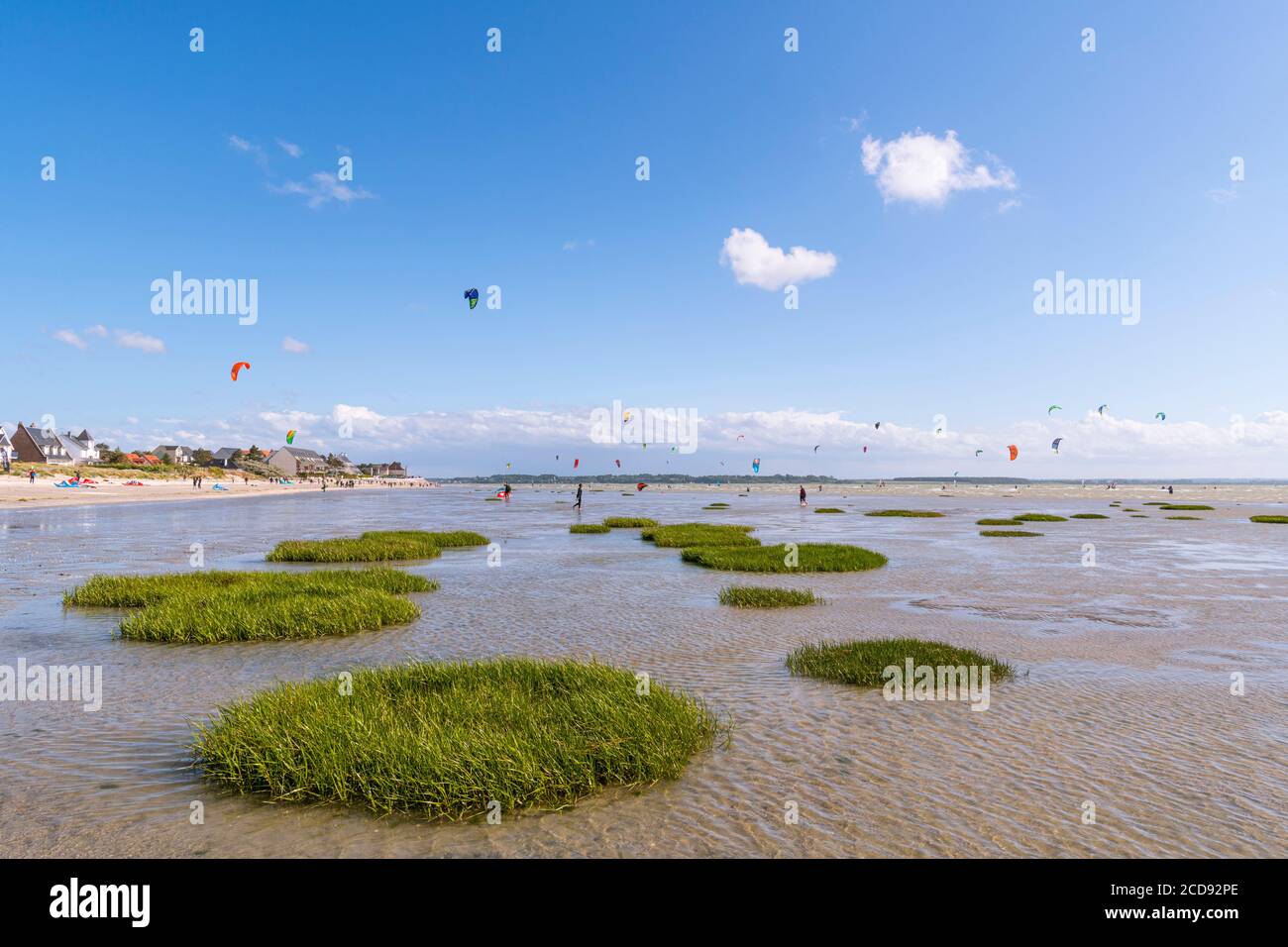 France, somme, Baie de la somme, le Crotoy, Crotoy Beach est un endroit pour le kitesurf et la planche à voile; au lendemain d'une tempête, alors que le soleil est revenu avec un vent puissant, les athlètes sont nombreux et leurs voiles multicolores illuminent le paysage Banque D'Images
