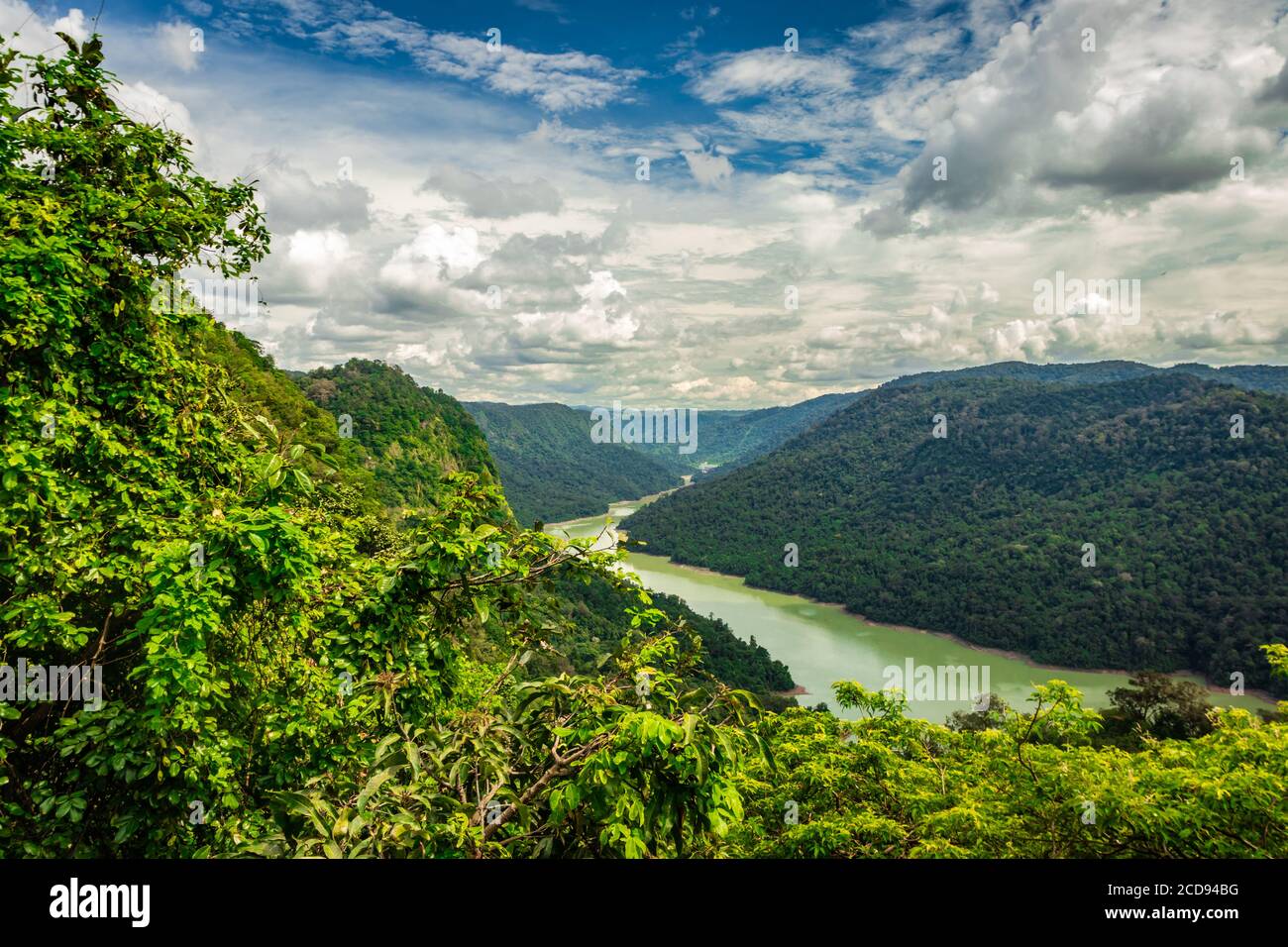 le ghat occidental une végétation dense et étonnante avec une image de rivière de premier plan est prise à karnataka inde. il est entièrement couvert de forêts de ghat occidentales. Banque D'Images