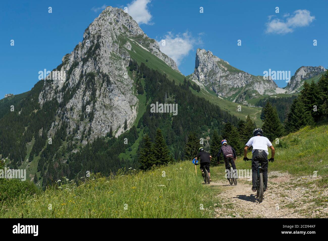 France, haute Savoie, massif du Chablais, Bernex, piste VTT de descente au sommet du téléski de pré Richard avec Ocher tooth et Oche Banque D'Images