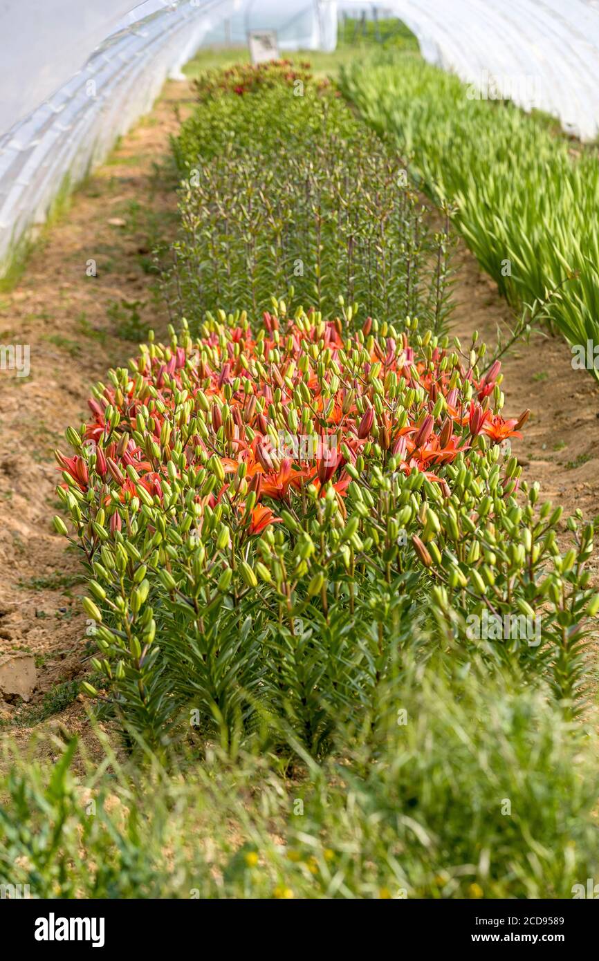 Parcay Meslay Banque D Image Et Photos Alamy