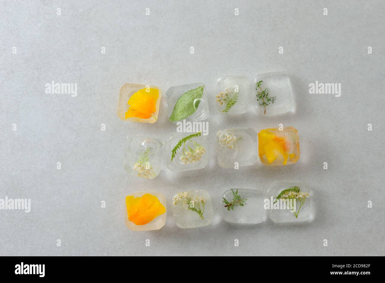 Fleurs et herbes congelées dans des glaçons Photo Stock - Alamy