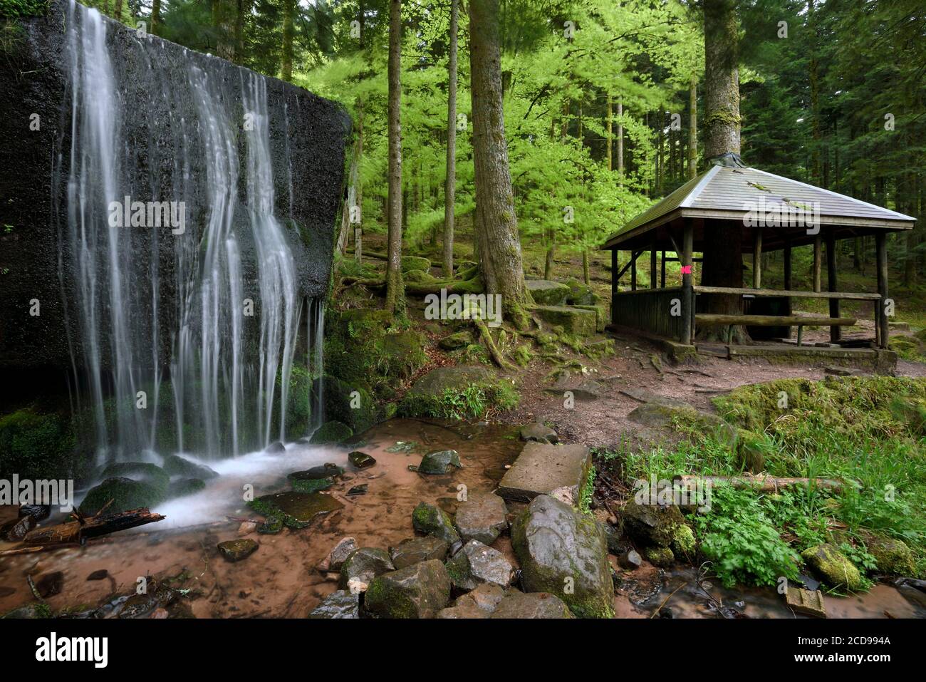 France, Vosges, Saint-Die-des-Vosges, massif d'Ormont, forêt, cascade de Molieres Banque D'Images