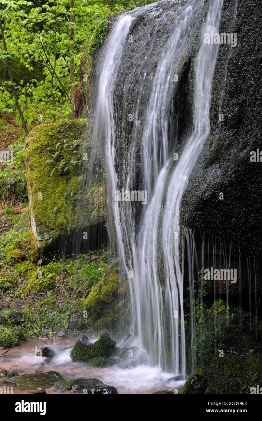 France, Vosges, Saint-Die-des-Vosges, massif d'Ormont, forêt, cascade de Molieres Banque D'Images