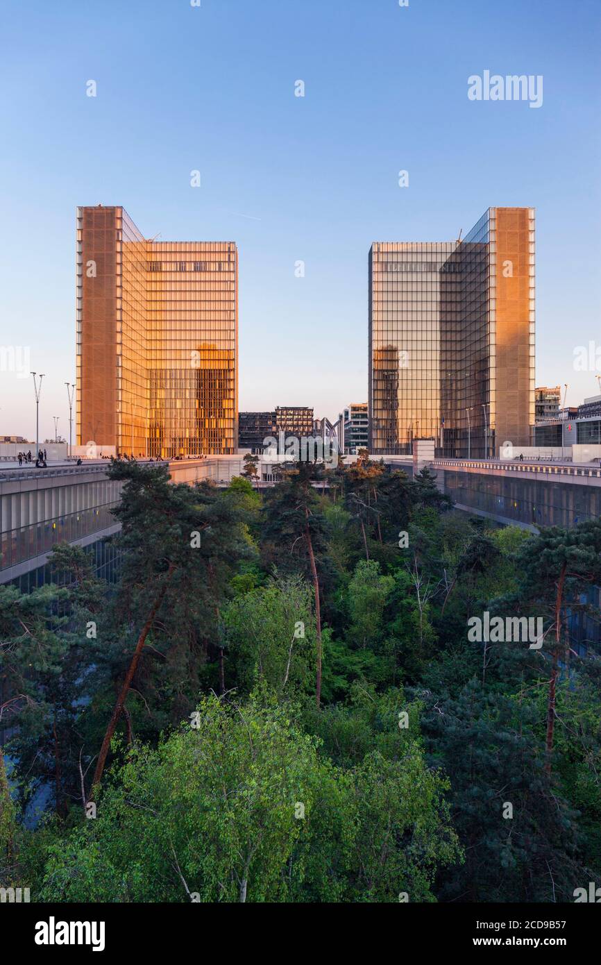 France, Paris, Bibliothèque nationale de France François Mitterrand par l'architecte Dominique Perrault Banque D'Images