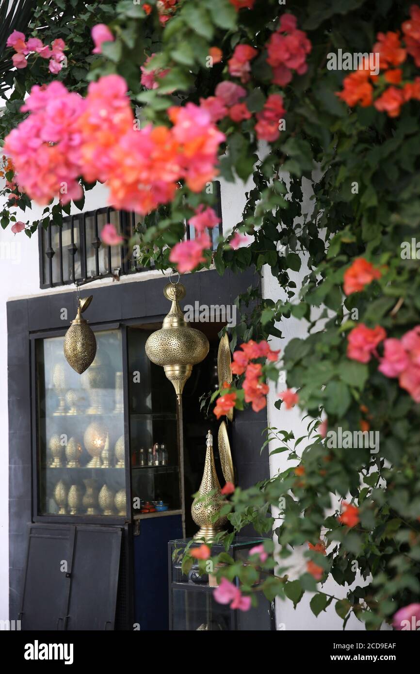 Maroc, région de Tanger Tétouan, Tanger, vitrine d'un magasin d'éclairage en métal doré et sculpté derrière un bouquet de bougainvilliers Banque D'Images