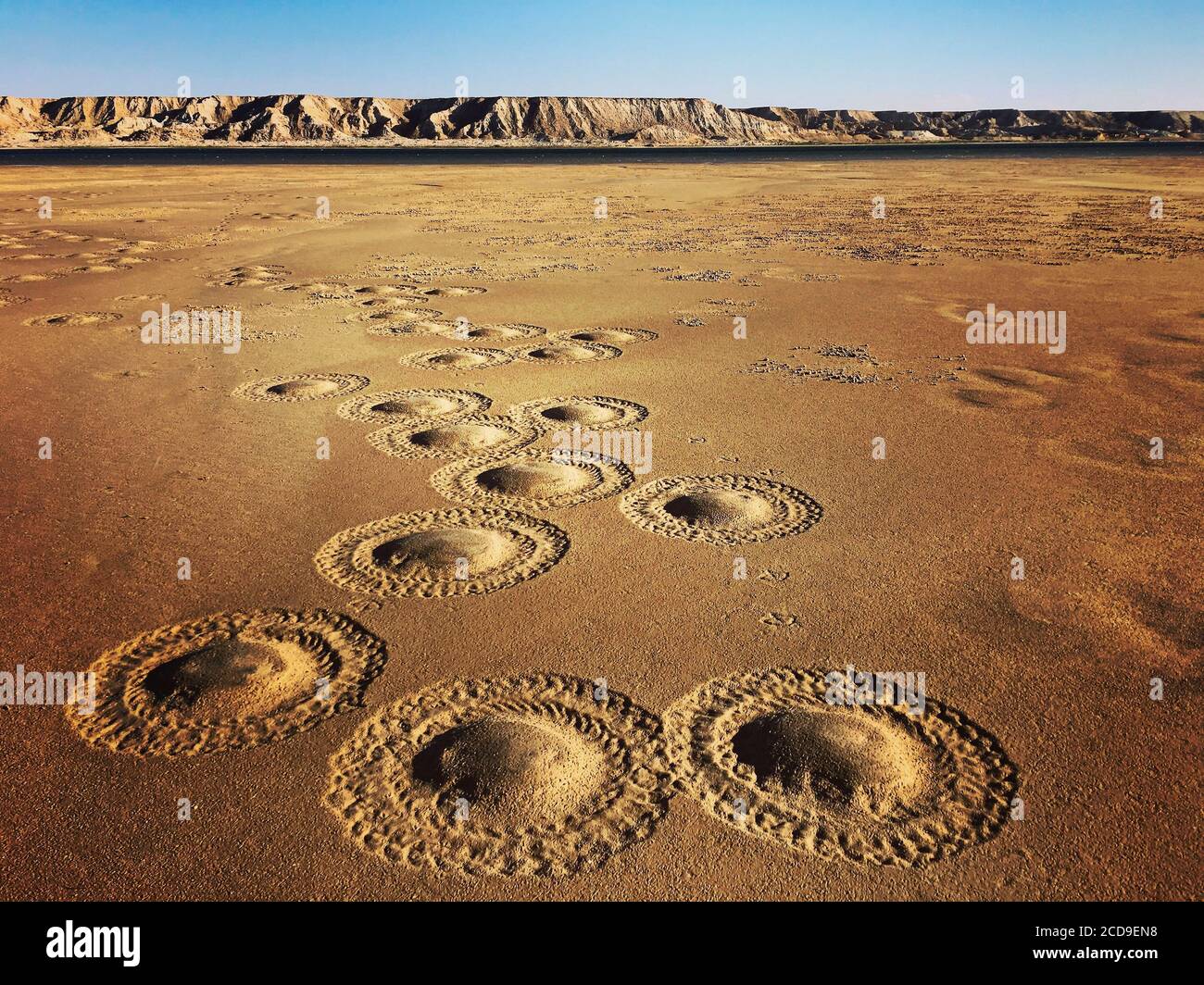 Maroc, Sahara occidental, Dakhla, marques cylindriques de crabes sur le sable du désert Banque D'Images