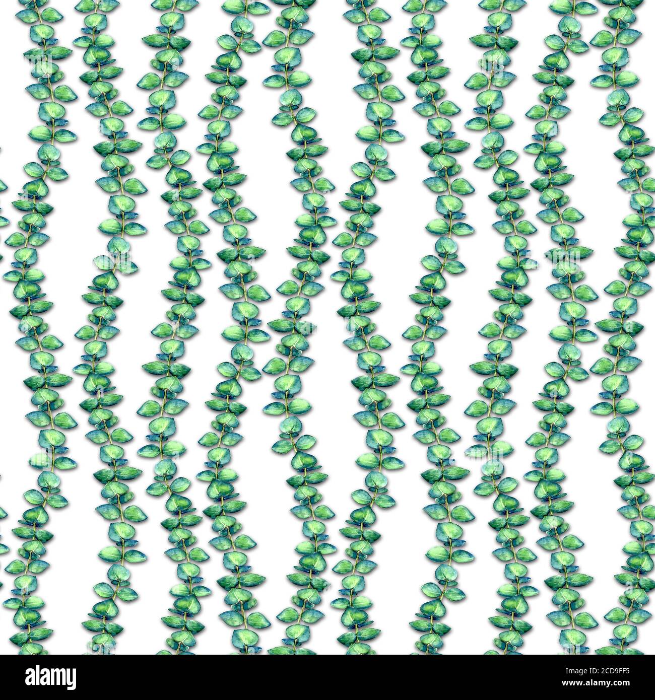 Bébé Blue Eucalyptus branches sur fond blanc aquarelle sans couture motif. Aquarelle dessin main de verdure texture botanique illustration. Imprimer f Banque D'Images