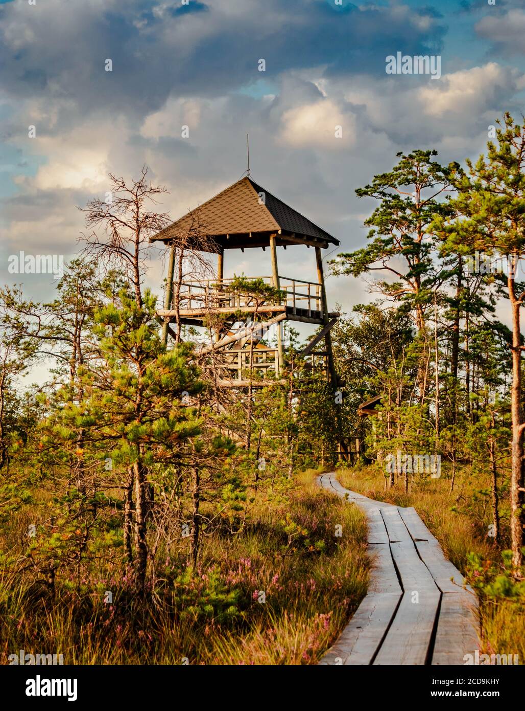 Chemin en bois menant à la tour d'observation en bois des landes de Cena. Banque D'Images