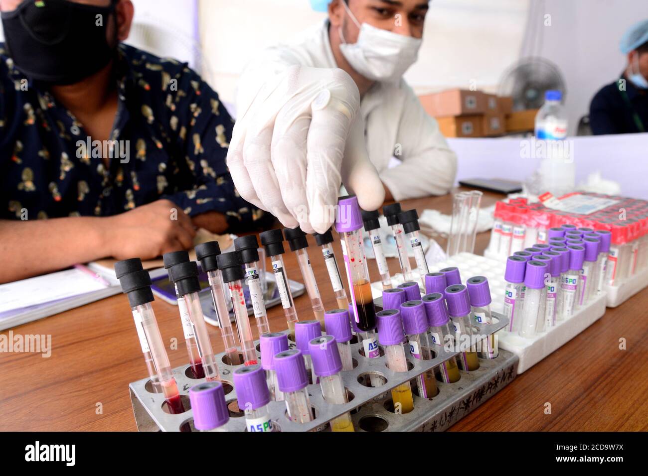 Un spécialiste médical recueille un échantillon de sang pour un test dans un camp médical temporaire ( spécialement conçu pour la fièvre, le froid, les maux de tête et la dyspnée patient ) insi Banque D'Images